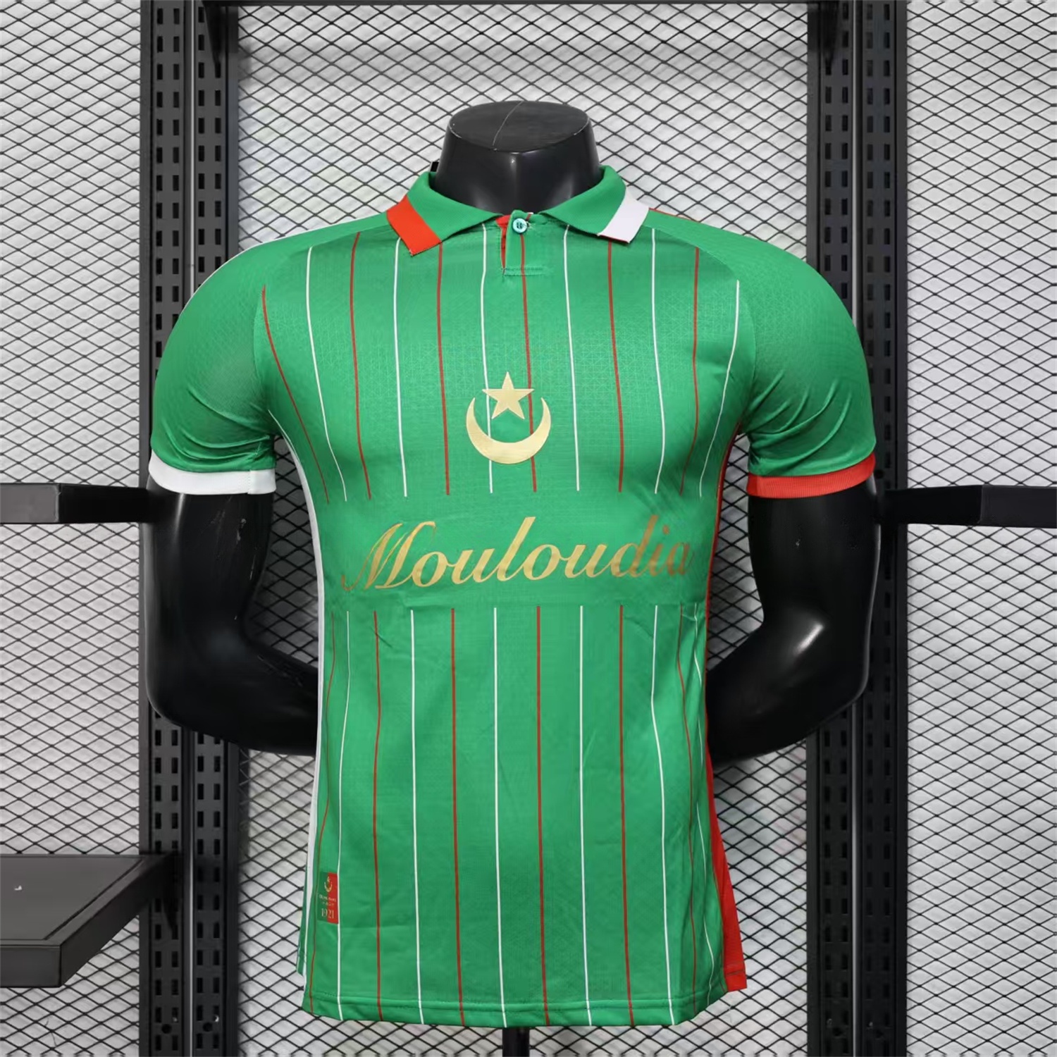 Club Deportivo Palestino Palestine 25-26 Green Special Jersey - Player Version - JerseysGala